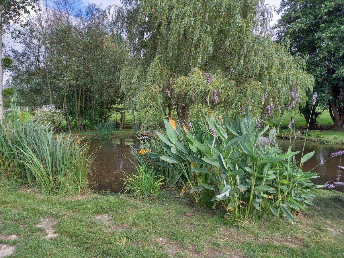 La Gasteboisiere With Swimming Pool And Games Room Le Mesnil-Adelee ภายนอก รูปภาพ